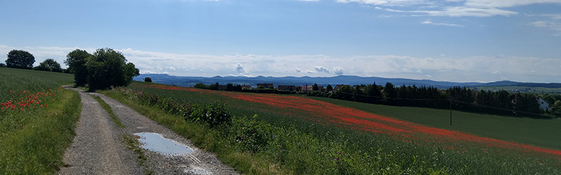 Wanderwetter
